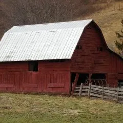 איסכורית–נא להכיר!
