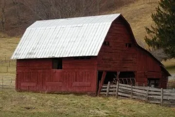 איסכורית–נא להכיר!