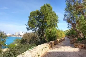 השכרת ציוד לאירועים תל אביב