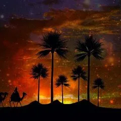 המדריך לבחירת הנופש המושלם!