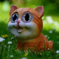 6 הצעות לחברות הפקת אירועים